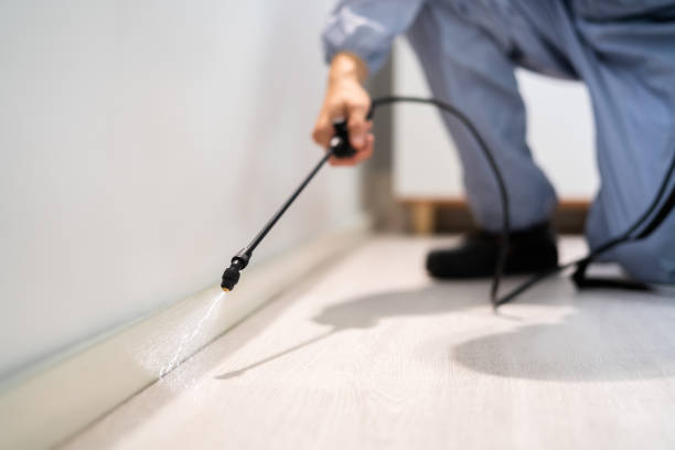Licensed Bed Bug Control service in Nelsonville, OH - Nex Pest Control