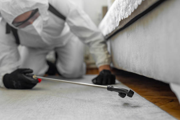 Professional Bed Bug Control technician working in Nelsonville, OH