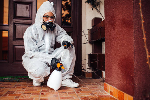 Reliable Bed Bug Control contractor in Nelsonville, OH by Nex Pest Control