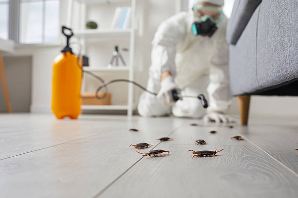 Trusted Rodent Control service in Nelsonville, OH - Nex Pest Control